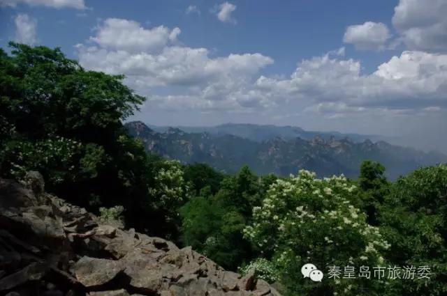 秦皇岛在哪里看海最美,秦皇岛看海必去景点