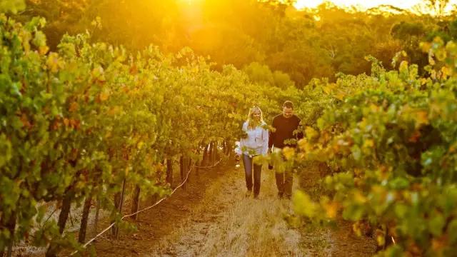 没想到你是这样的奥巴马,没想到你是这样的雷神