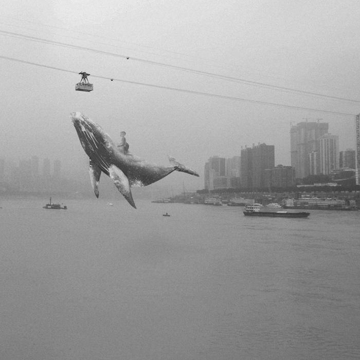 年度最值得看的摄影展,最好看的摄影展