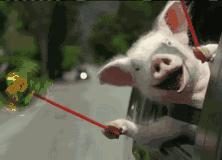 珠海城轨线二期,房叔珠海