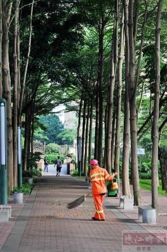 禅城森林,佛山森林城规划图