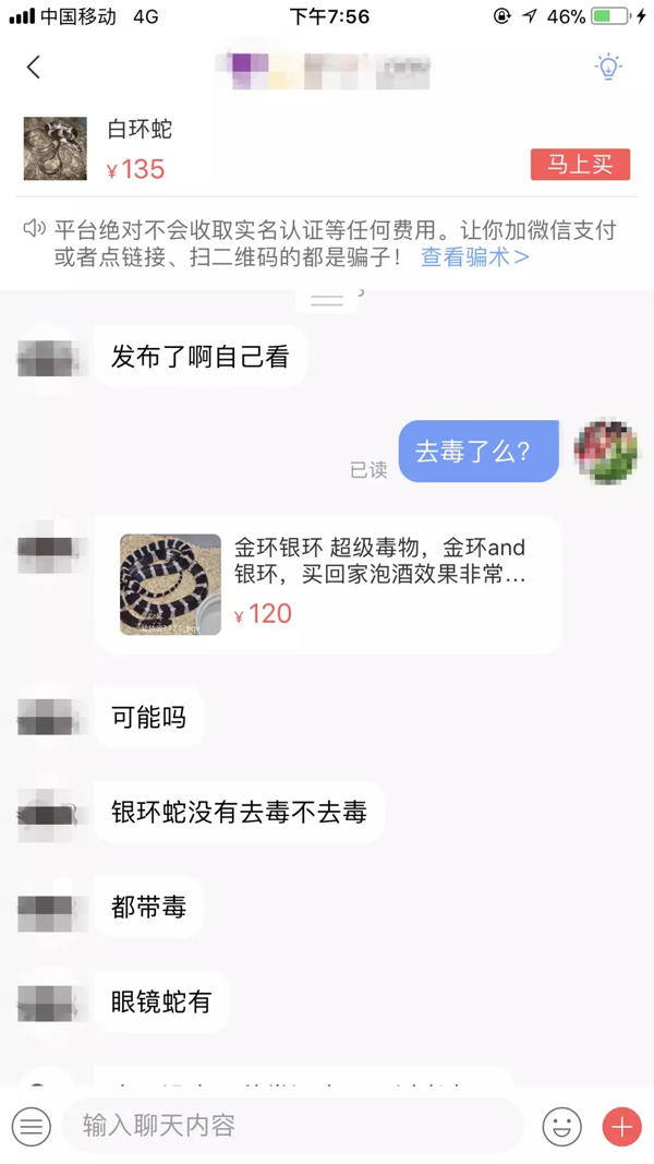渭南21岁女孩被银环蛇咬死,陕西银环蛇咬伤21岁女子