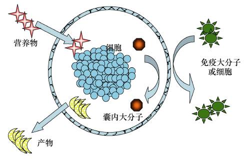 治疗内分泌神经肿瘤中药偏方,内分泌紊乱药物治疗
