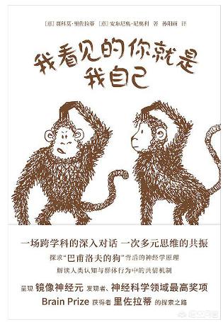 宝宝自闭症怎么去发现,三岁宝宝疑似自闭症谱系