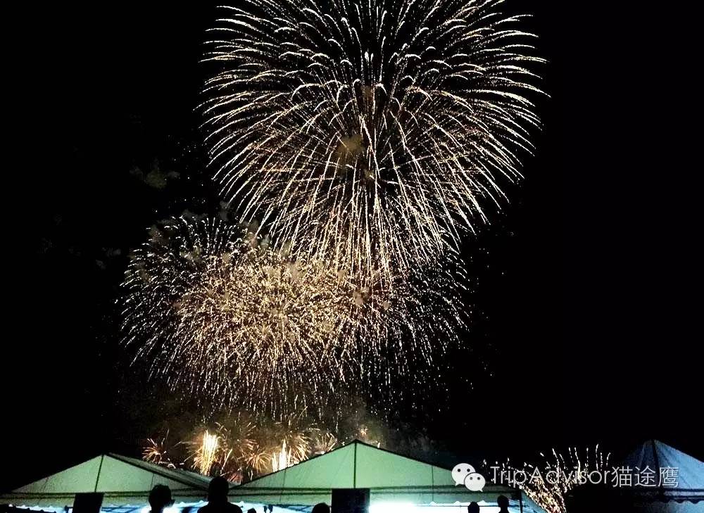 日本最大烟花美不胜收,日本最牛的烟花大赏