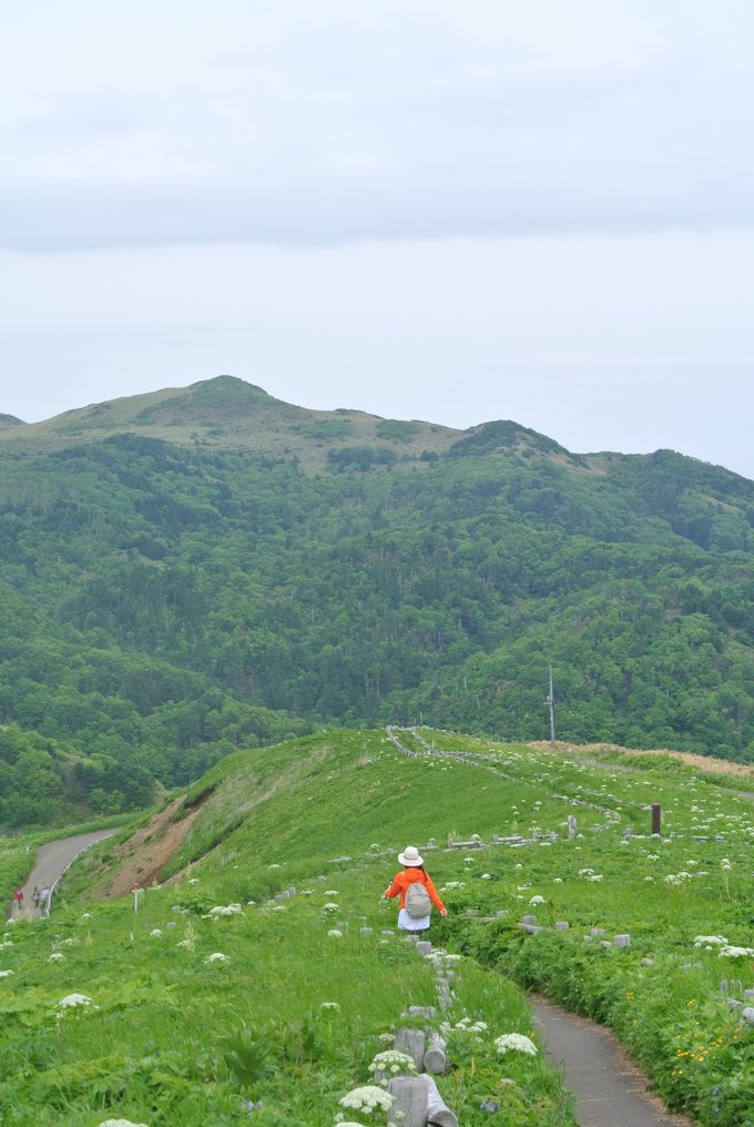 对于北海道，再一再二又再三之稚内、利尻岛、礼文岛、带广、神威岬、余市初造访