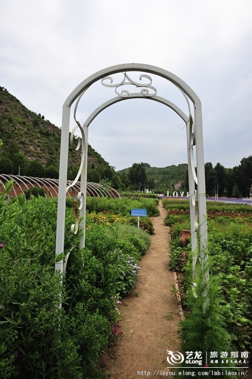 紫海香堤香草艺术庄园特色,紫海香堤香草艺术庄园怎么样