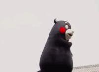 赵薇和王菲是如何成为闺蜜的,王菲和赵薇是一样的人