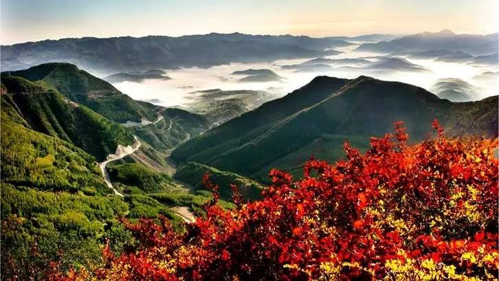 见证长征｜一代伟人毛*东泽**与红军将士在六盘山的足迹