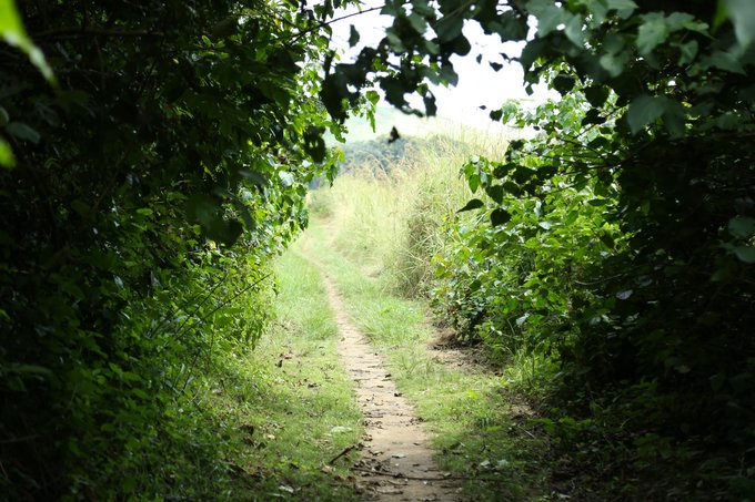 【非洲璀璨明珠】乌干达生活旅游指南