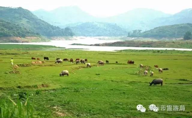 云霄镇攻略,云霄旅游线路攻略图大全