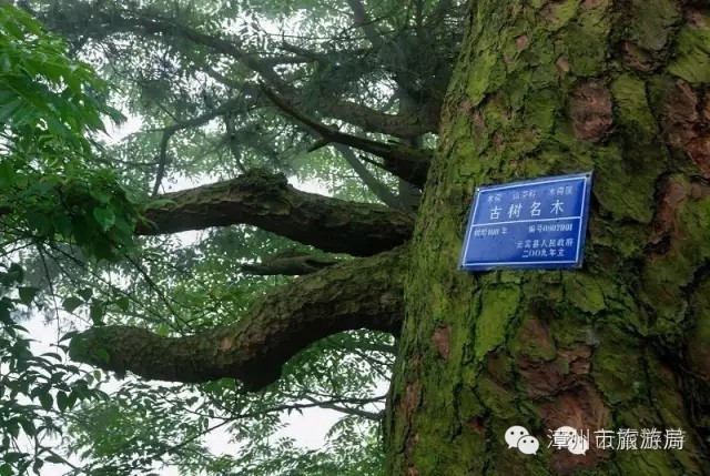 云霄镇攻略,云霄旅游线路攻略图大全