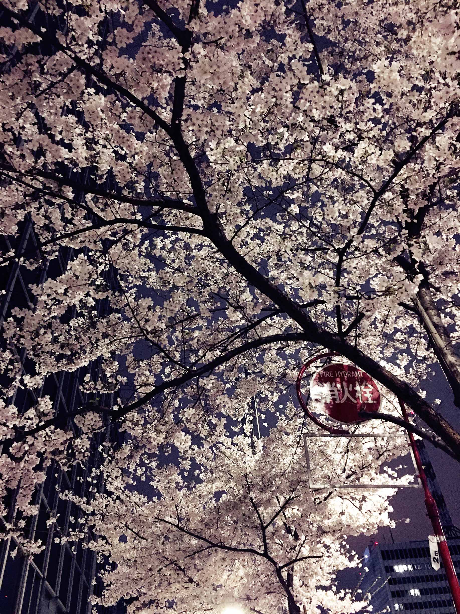 到日本买什么药带回国,到日本买的护肤品怎么带回来