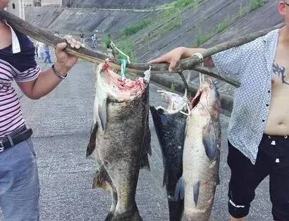 大连最新路况积水路段,辽b车主