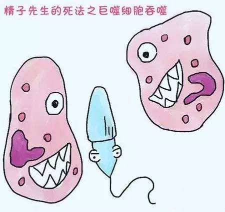 小蝌蚪死了该怎么救活,小蝌蚪的死因