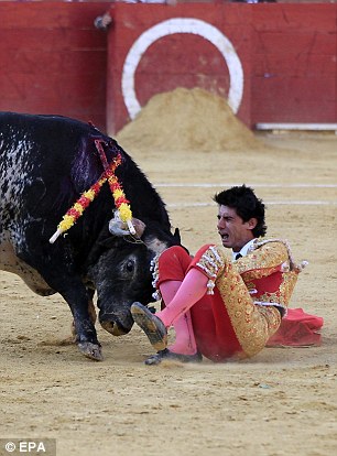 斗牛士被公牛刺穿下颚,斗牛士被公牛打死