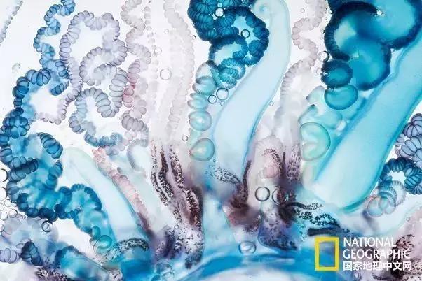 夏天带宝宝去海边玩注意什么,带娃到海边玩一定要注意安全