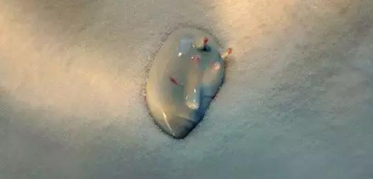 这恐怕是最近50年第一次在电影院里看到全裸的机会了