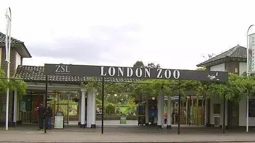 孩子喜欢的动物园,孩子喜欢的动物你绝对想不到