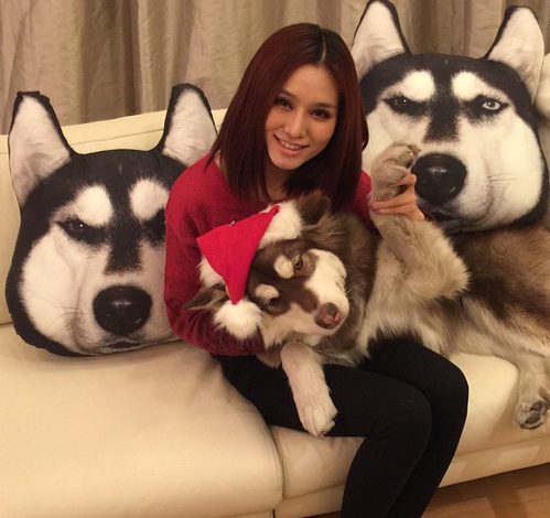 王思聪宠物狗链子,王思聪给爱犬戴项链