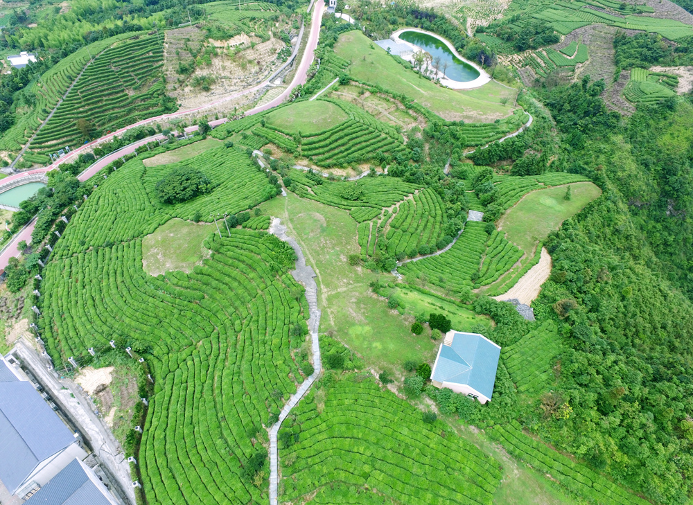 上帝之眼看东营,上帝之眼俯瞰众生