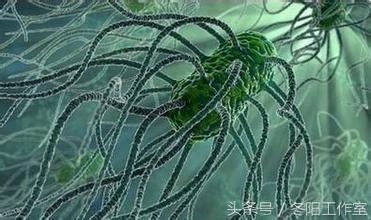 为什么革兰阴性菌可以使用青霉素,青霉素化不开怎么回事