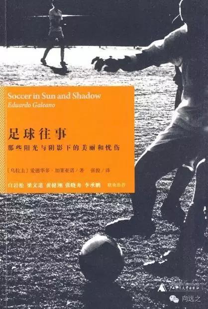 欧洲杯新赛季足球,欧洲杯最新足球情况