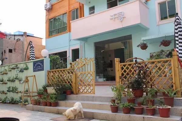 深圳十大经典民宿,深圳民宿推荐排名