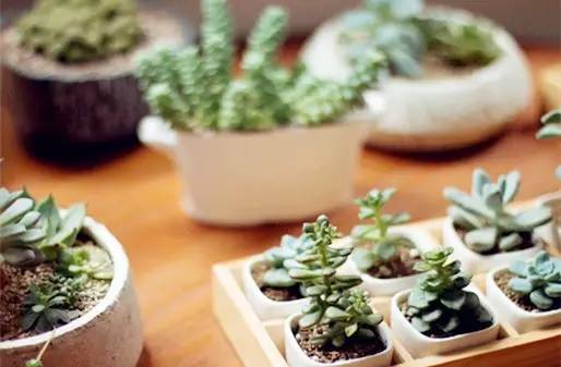 隐藏昆明安静的茶室,昆明文化巷安静的音乐酒馆