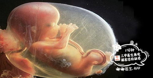 11周孕反应突然减轻了就是胎停吗,孕七周突然不恶心了是不是胎停了