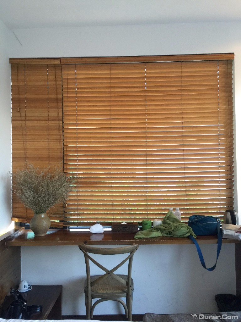 大理无花果好去处,大理路边大叶无花果