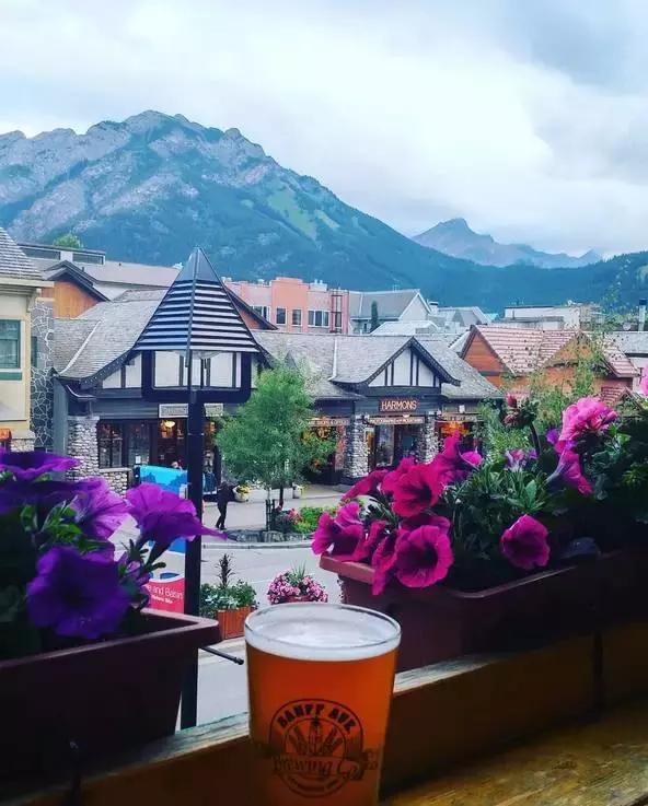 回国探亲礼品,最全加拿大回国礼品推荐