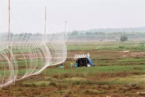 再有人问你“芝罘”啥意思，你可以这样给他讲