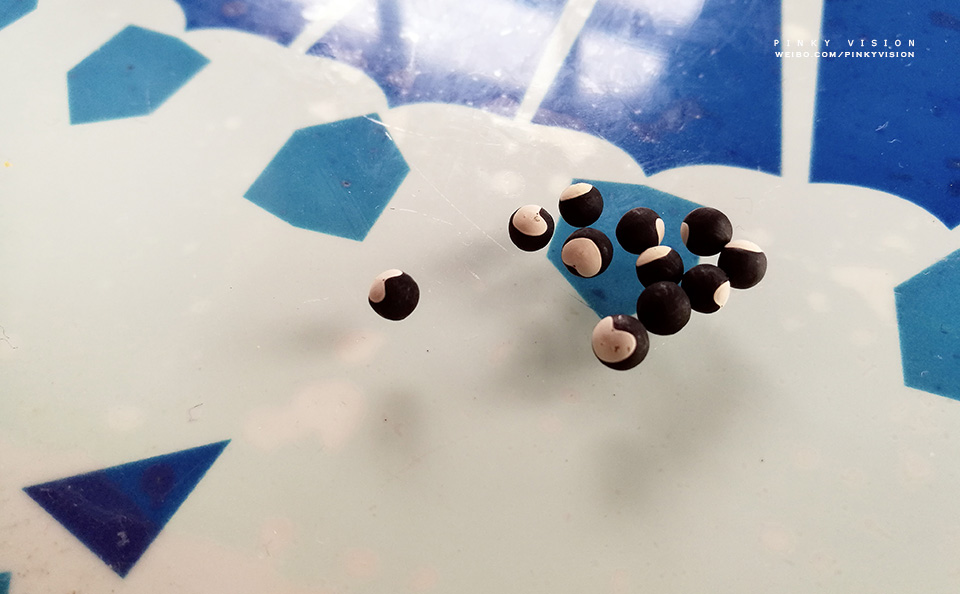 travel环球旅行,travel新旅行