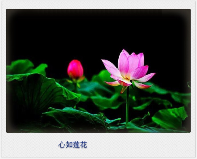 佛教中的佛学词汇,佛学常用术语