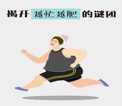 越减越肥的48个常识,越忙越胖如何自救