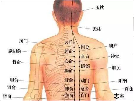 每天睡不够湿气重,睡不够怎么调理身体