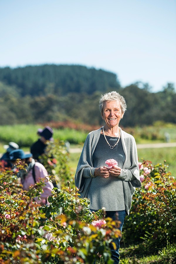 我们确曾用玫瑰做了些美好的事情
