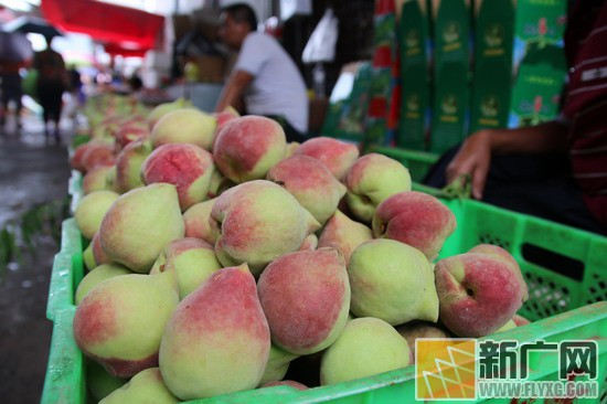 *小平邓**通讯连长才是真正开远蜜桃王