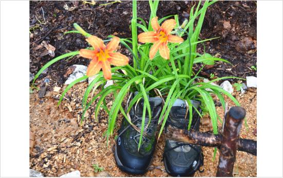 “中国女婿”威廉·林赛联合百代旅行发起“长城守护之旅”