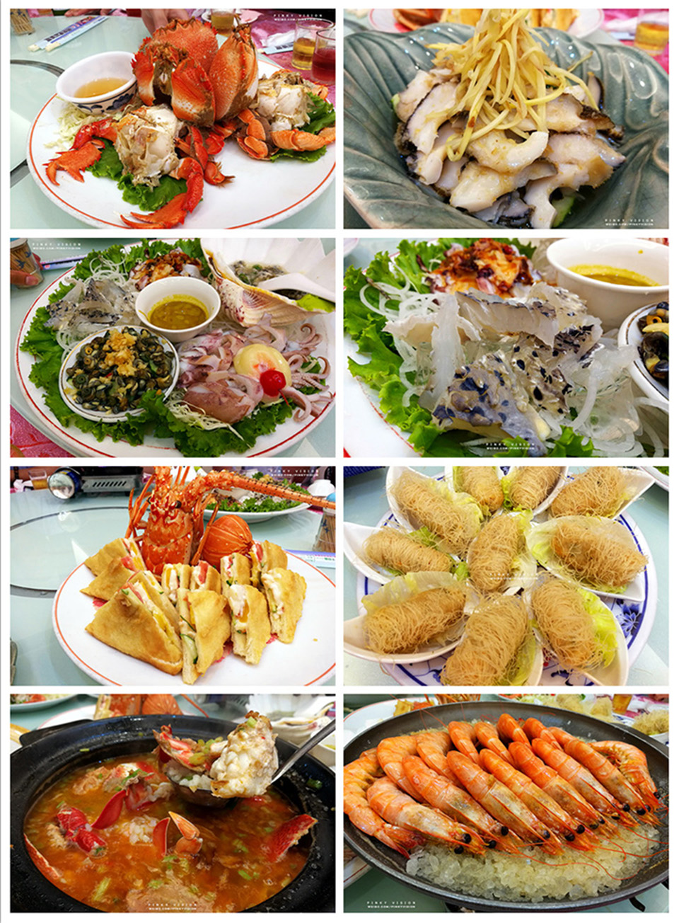 travel环球旅行,travel新旅行