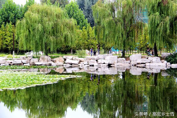 高密家乡,我最喜爱的家乡高密英语作文