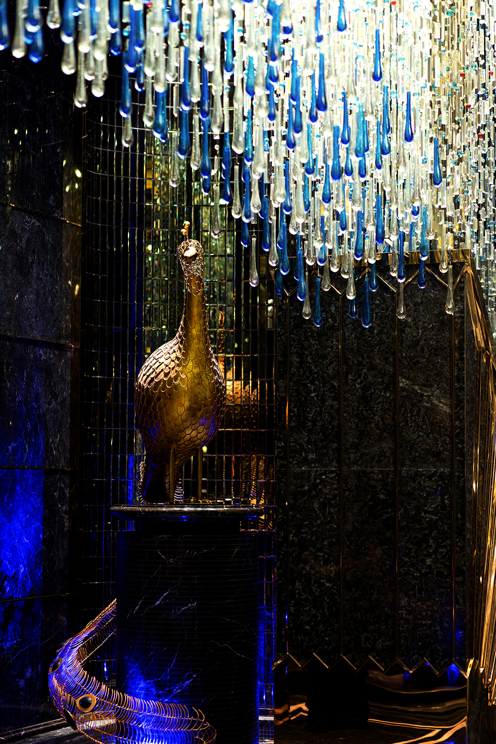 深圳市朗昇国际设计,深圳朗昇国际设计