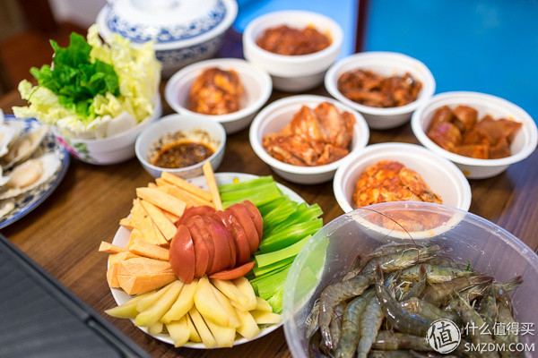 solis索利斯330测评,solis料理机测评