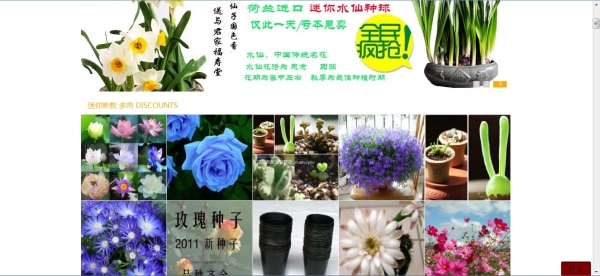 6种方法教你快速识别淘宝假花店(养花者必看)