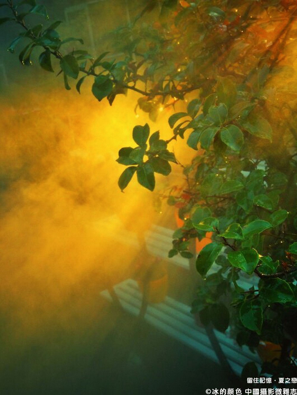 夏之恋全部图片,夏之恋完整版mv