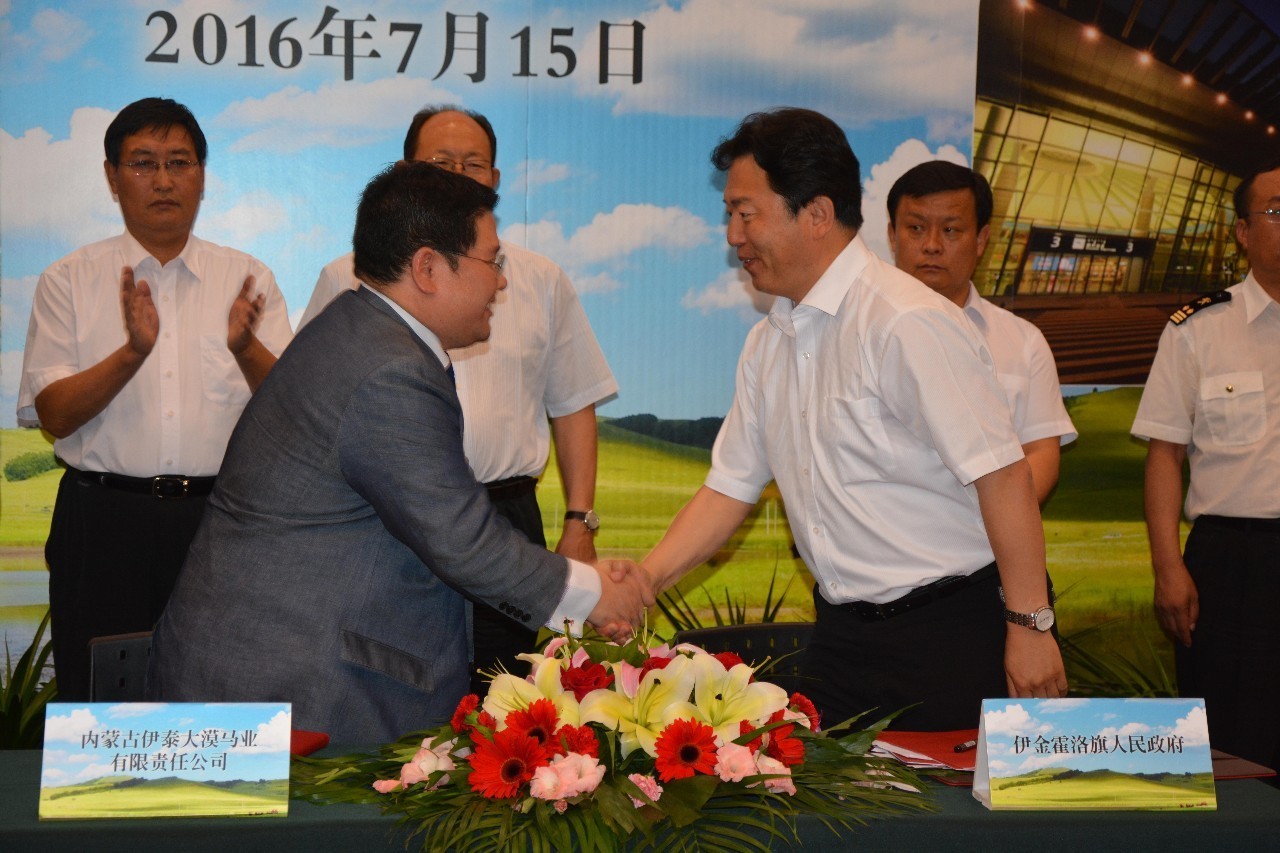 81匹新西兰纯血马及赛事用马助力驭马文化节，精彩不容错过！