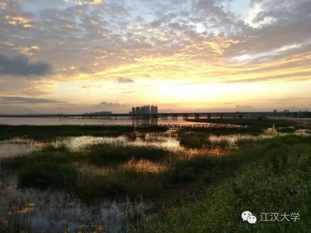 姹熷ぇ缇庢櫙,濮滃ぇ缇庝附