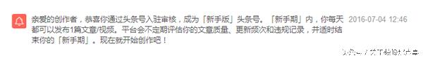23天通过*今条头日**“新手期”，告诉你我是这样做的