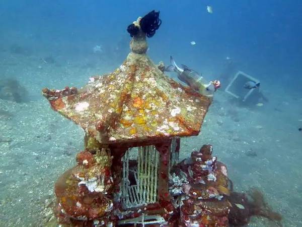 图兰奔潜水——探秘二战沉船体验